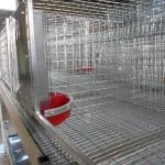 Бункерная кормушка для кроликов- фото № 3