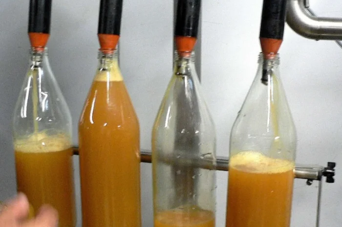 Професійна лінія виробництва натуральних соків- фото № 1