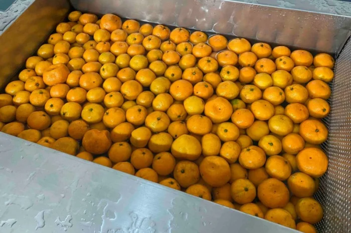 Соковижималка для цитрусових STvega CJ H1600- фото № 4