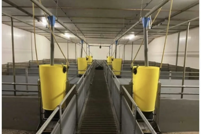 Перегородки для відгодівлі з годівницями гроба- фото № 1