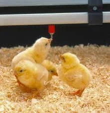 Труба поения ПВХ 22*22- фото № 4