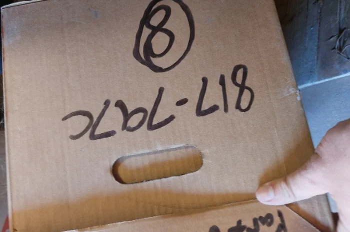 Диск висіваючий 40 відп, дрібна кукурудза, GP YP1625AH / YP825A 817-797C- фото № 2