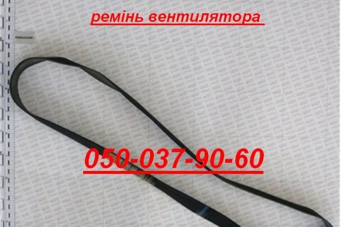 Ремні та ремкомплекти Оригінал до сівалок Гаспардо Ремінь V1270 J-18шт Модель F06010166- фото № 1