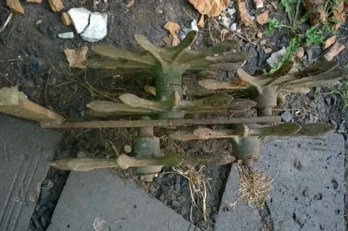 Продам секцію від культиватора на мотоблок- фото № 3