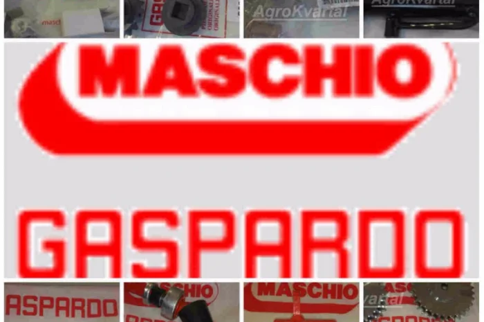 Запчасти Gaspardo (Гаспардо) по лучшим ценам в Днепре G20860126R Рем.комплект 2+2- фото № 1