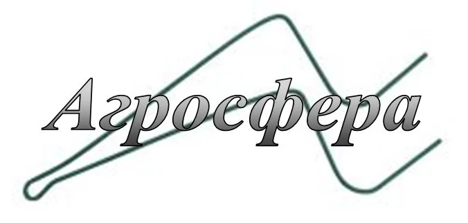 Граблина "Солнышко"- фото № 1