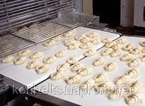 Транспортерные ленты- фото № 3