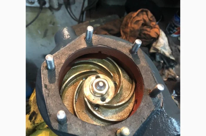 Водяные помпы дизелей У1Д6, 1Д6, 3Д6, 7Д6, 1Д12, 7Д12, 6Ч12/14 в Льаов, Ужгород, Днепр, Кривой Рог- фото № 15