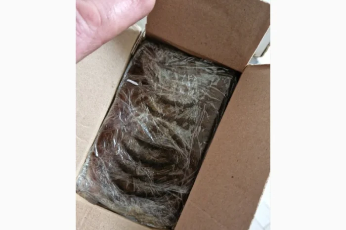 Запчасти на двигатель К-167(2)К-167(3), К-962М2; К-360М2; К-364М2; К-364М2А1; К-364М2А2; К-564М2- фото № 16