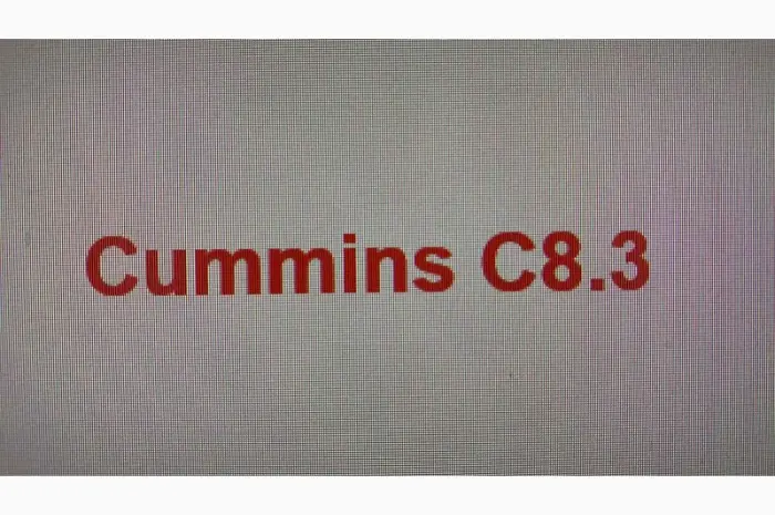 Запчастини двигуна Cummins C8.3- фото № 1