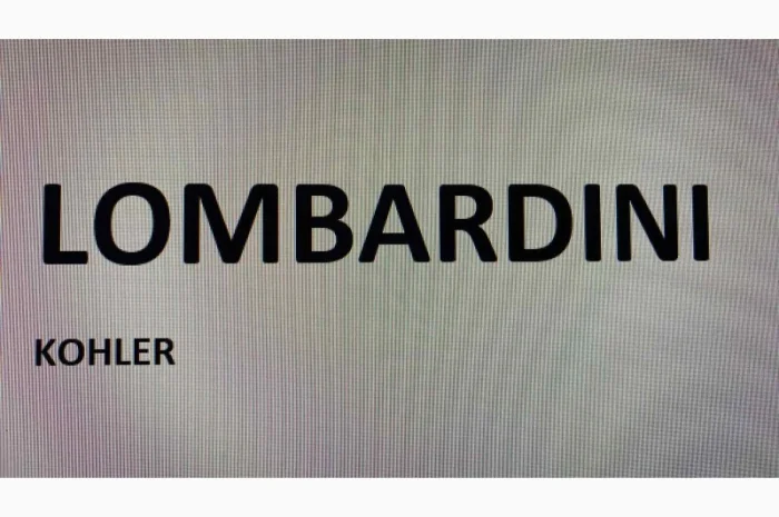 Запчастини до двигунів Lombardini LDW 2204 (МТЗ-422)- фото № 1