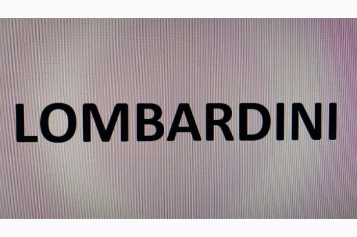 Запчастини до двигунів Lombardini LDW 1603 / B3 (МТЗ-320)- фото № 1