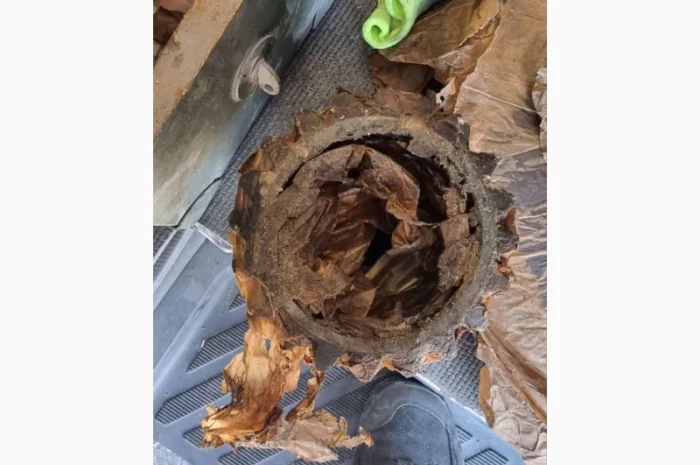 Запчасти на реверс-редуктор 3Д6, 3Д12, 6Ч12/14 в Киев, Запорожье, Днепр, Хмельницкий- фото № 8