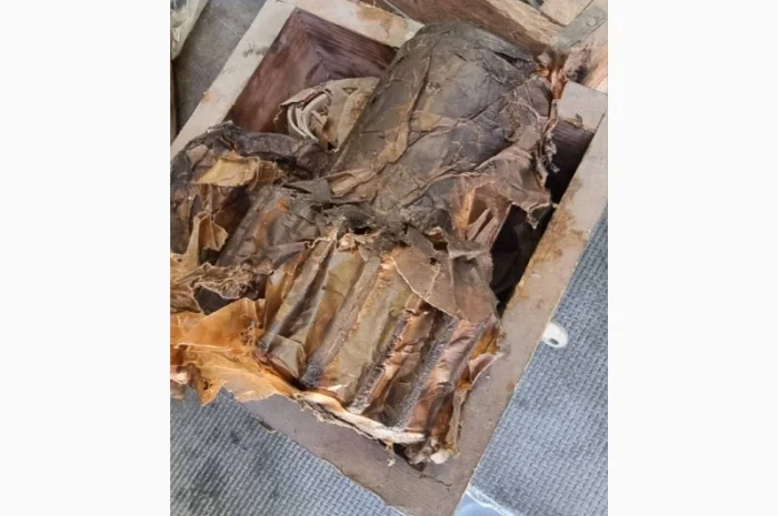 Запчасти на реверс-редуктор 3Д6, 3Д12, 6Ч12/14 в Киев, Запорожье, Днепр, Хмельницкий- фото № 3