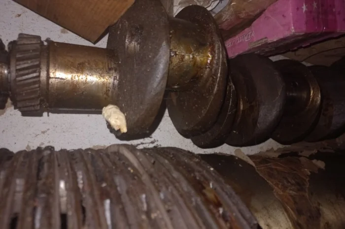 Запчасти дизелей 6ч12/14, 1д6-1д12, 6чн18/22, Д-50, Д-49, 6чн21/21, 4ч8.5/11 в Полтава, Харьков- фото № 13