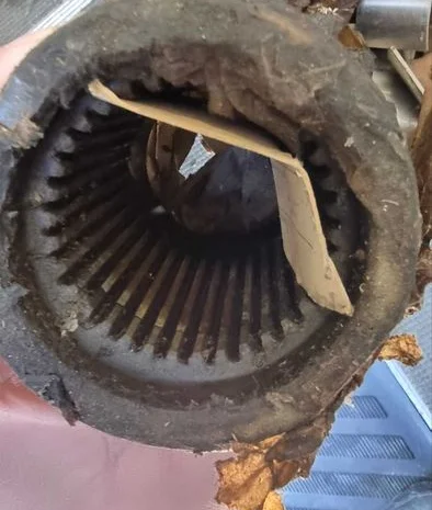 Запчасти двигателя 1Д6, 1Д12, 3Д6, 3Д12 в Одесса, Николаев, Львов, Днепр, Полтава- фото № 12