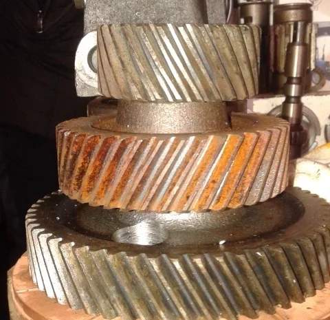 Шестерня коленвала, распредвала ЮМЗ- фото № 2