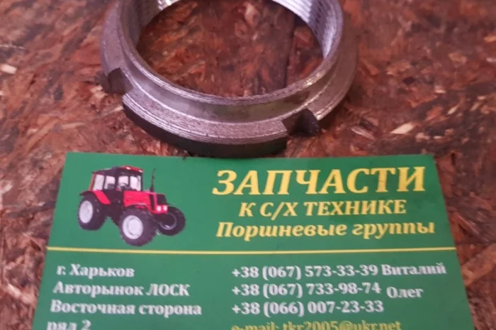 Гайка мтз промежуточного вала- фото № 1