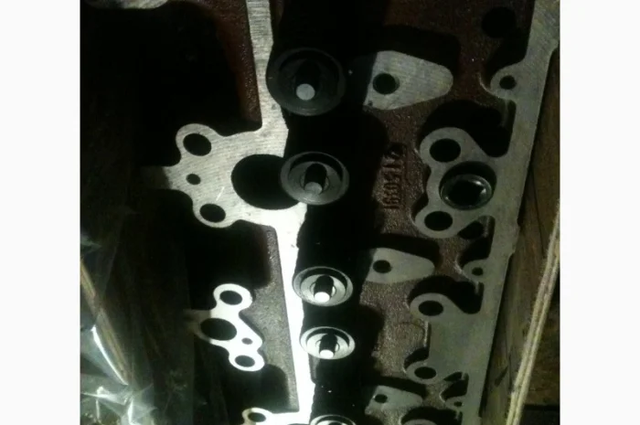 Головка блока цилиндров СМД 22 22-06С9- фото № 1