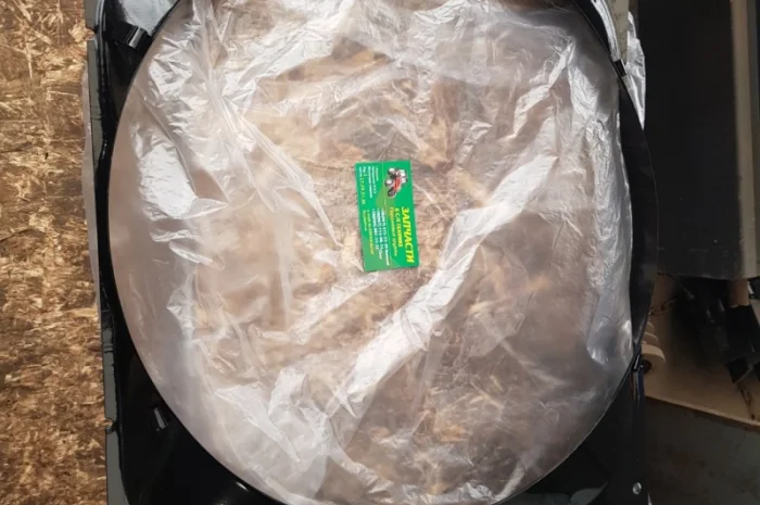 Кожух радиатора МТЗ диффузор 70-1309080- фото № 1