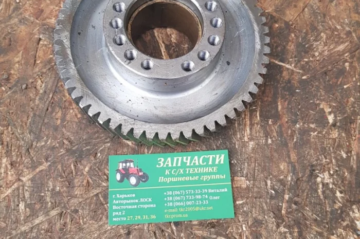 Шестерня прривода ТНВД (ЮМЗ). Д04-С06 СБ- фото № 1