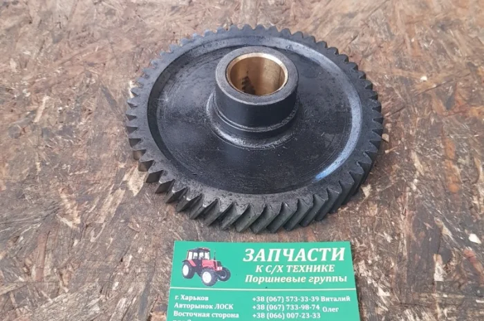Шестерня распредвала Д37М-1006240-А8 (Д-144, Д-21) паразитная- фото № 1