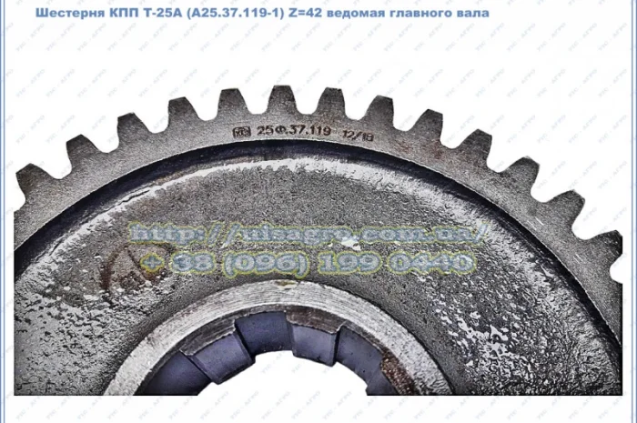 Шестерня КПП Т-25Ф (25Ф.37.119) Z=42 ведомая коробки передач Т-25Ф, Т25ФМ, ХТЗ-2511- фото № 2