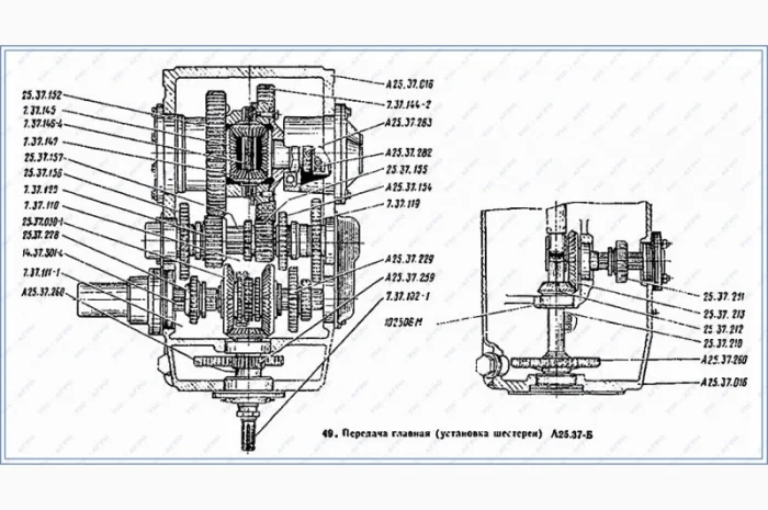 Шестерня КПП Т-25А (А25.37.229Б) Z=15/29 ведущая промежуточного (реверса) вала- фото № 4