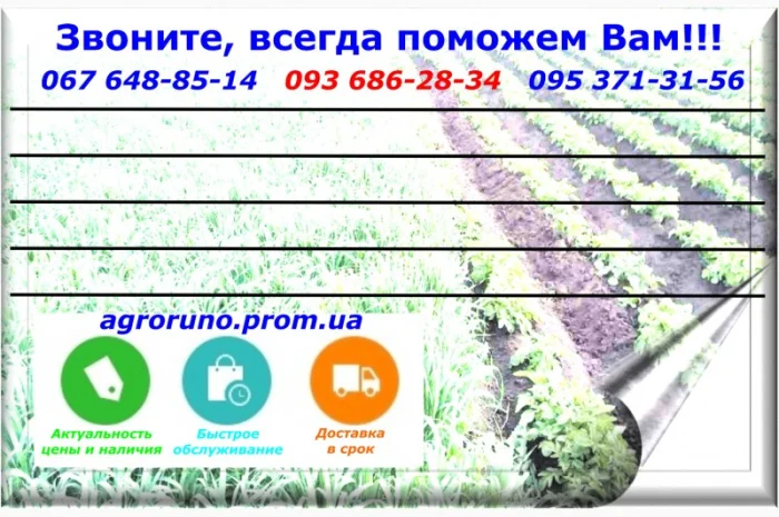 Запчасти на мотоблоки, трактора, двигатели к мотоблокам в интернет-магазине- фото № 1