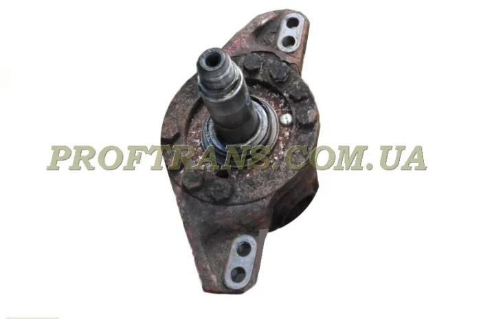 Цапфа IVECO EUROCARGO поворотный кулак- фото № 1