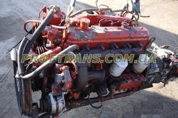 Двигатель IVECO EUROCARGO 8060.25, 6-и цилиндровый мотор ИВЕКО ЕВРОКАРГО- фото № 2