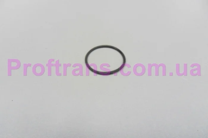 500324249 кольцо резиновое помпы гидроусилителя O-RING IVECO DAILY 3.0 00-12, FIAT DUCAT- фото № 1