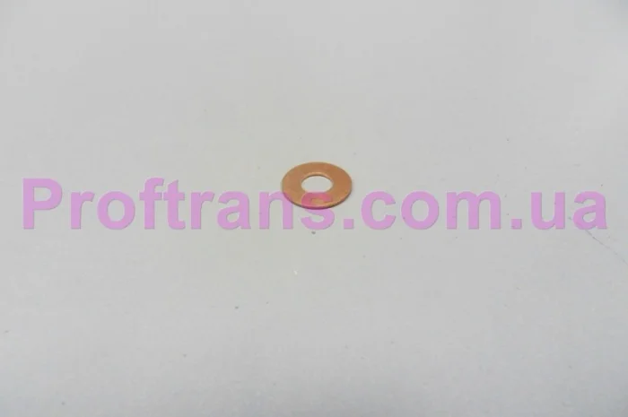 5003062049, 6.33090 Шайба под форсунку RENAULT PREMIUM V9, 8, V11.1- фото № 1