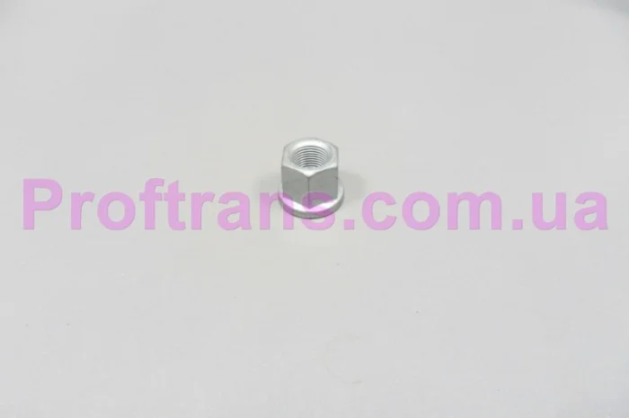 504247869 Гайка стремянки IVECO M18*1.5- фото № 1