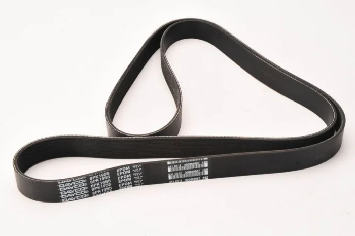 Ремень Claas 0007801600 dayco- фото № 1