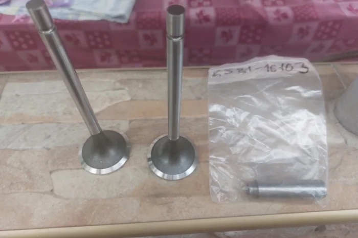 Клапан двигуна OEG ВПУСК (45.5X9.0X144.9) Клаас ягуар двигатель om460 la- фото № 1