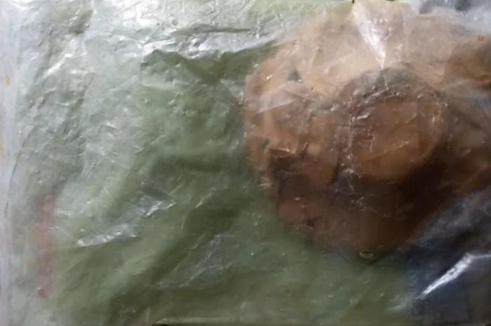 Зірочка 646126- фото № 2