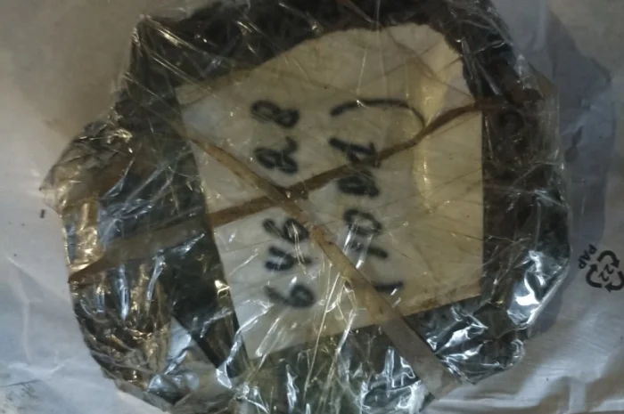 Ланцюг роликовий 646128- фото № 2