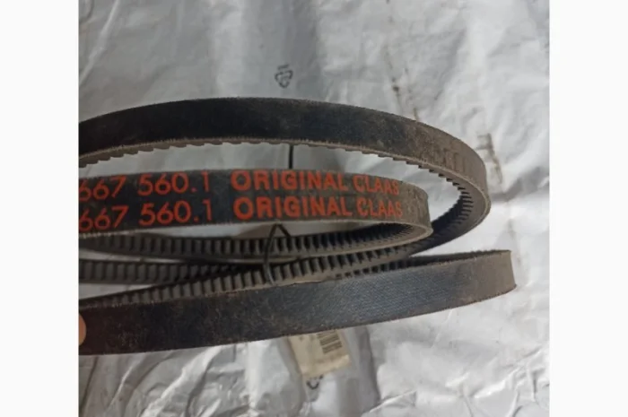 Пас 667560- фото № 1