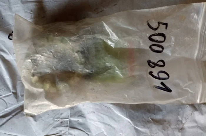 Гайка шліцева 500891- фото № 1