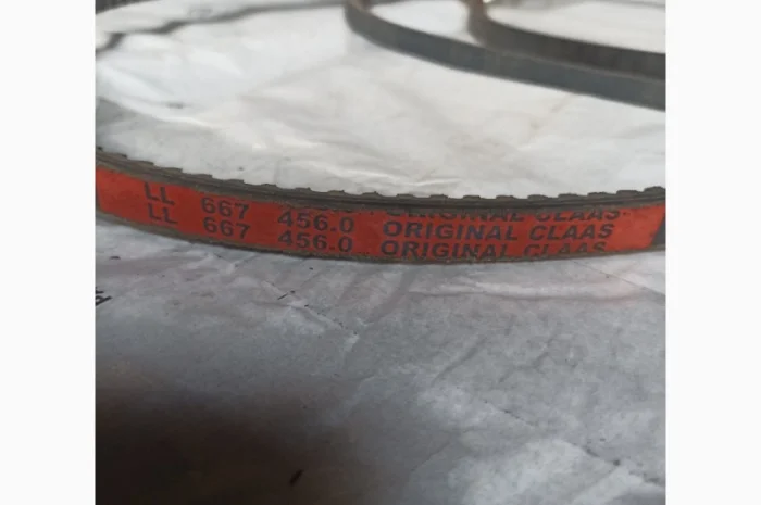 Пас 667456- фото № 1