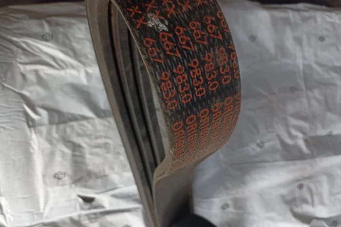 Пас 667983- фото № 1