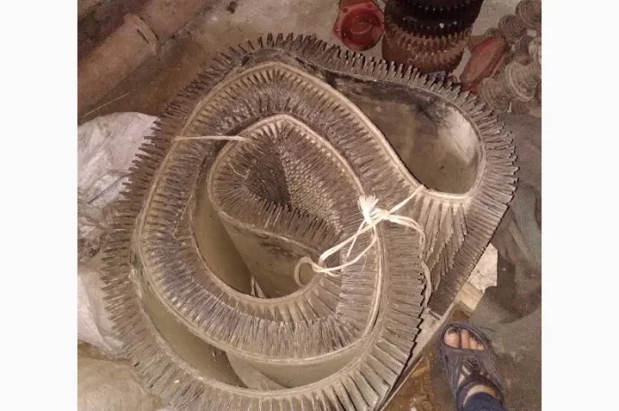 Транспортер до картофелекомбайна Grimme Europa Standart- фото № 2