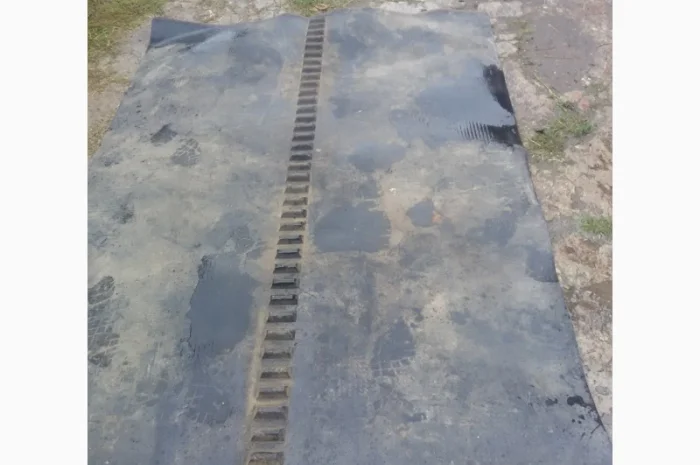 Транспортер до картофелекомбайна Grimme Europa Standart- фото № 5