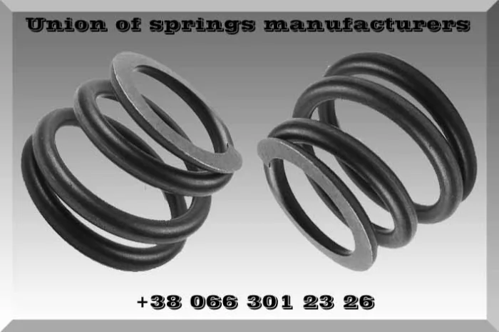 Пружины сжатия к технике Ростсельмаш- фото № 1