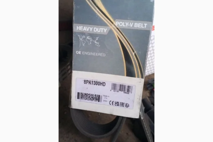 Ремінь 8PK1300HD, DAYCO- фото № 2