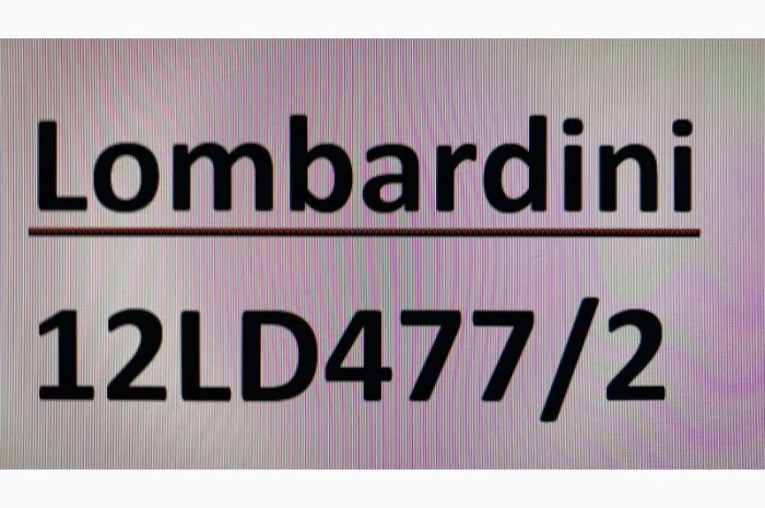 Запасні частини та витратні матеріали для двигуна Lombardini 12LD477/2- фото № 1