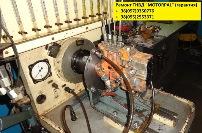 Ремонт ТНВД Моторпал / Motorpal (гарантия)- фото № 3