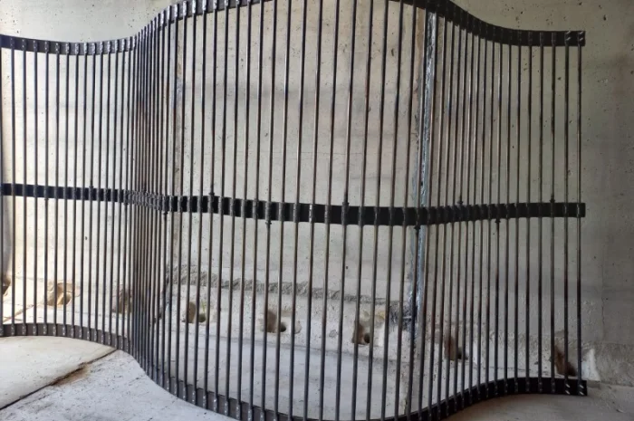 Транспортери КТН-2- фото № 2