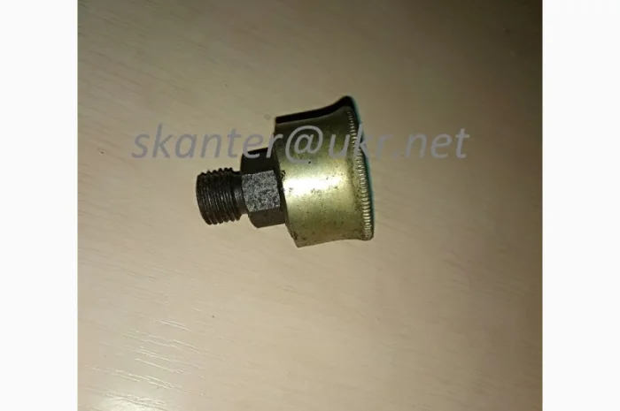 Маслянка ковпачкова 12.5- фото № 1